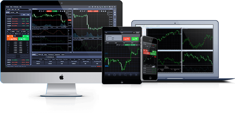 webtrader Hotforex